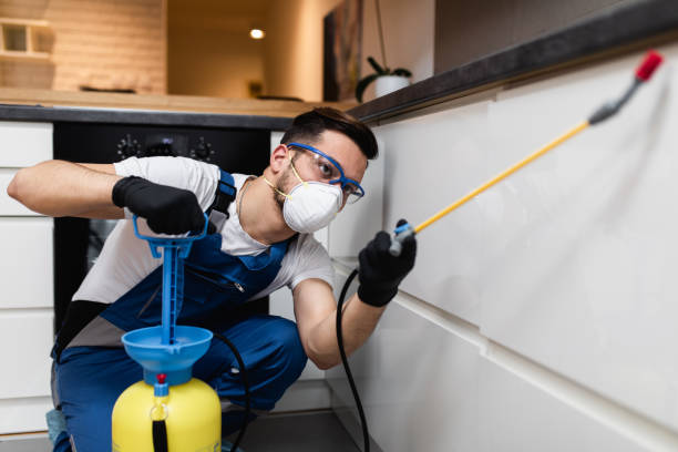 Best Wasp Removal Services  in Selmer, TN