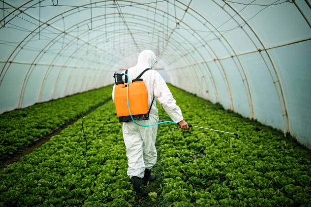 Reliable Selmer, TN Pest Control Solutions