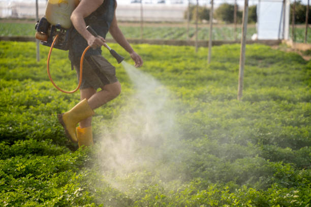 Best Commercial Pest Control Services  in Selmer, TN