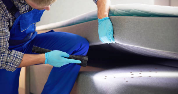 Best Mosquito Control Services  in Selmer, TN