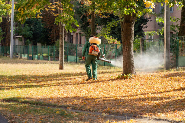 Best Termite Control Services  in Selmer, TN